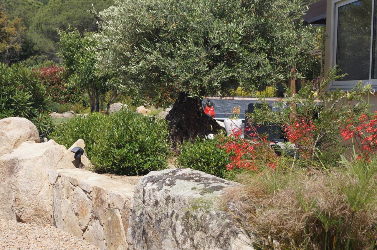 Les Jardins De Santa Giulia - Charmante Chambre D'Hote 2 Porto-Vecchio  Exterior foto